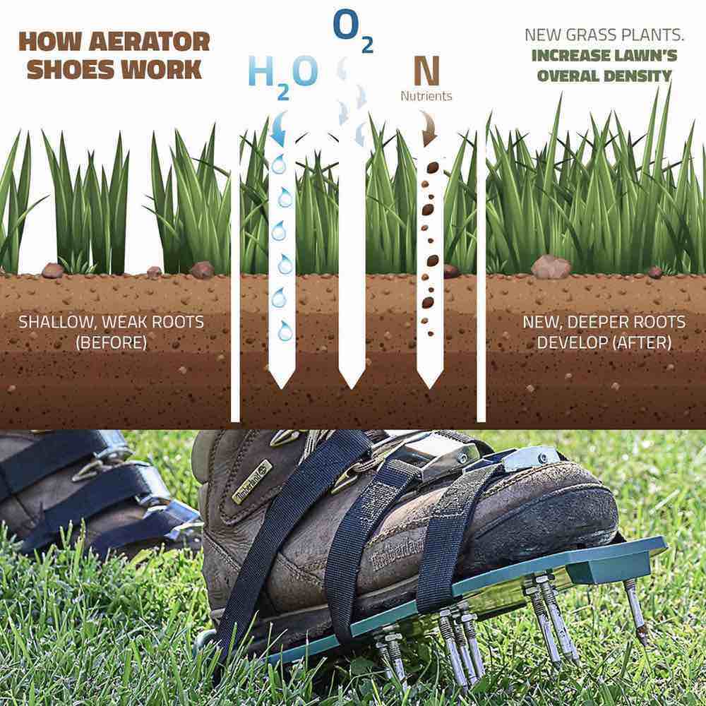 Aerator Shoes: image 8