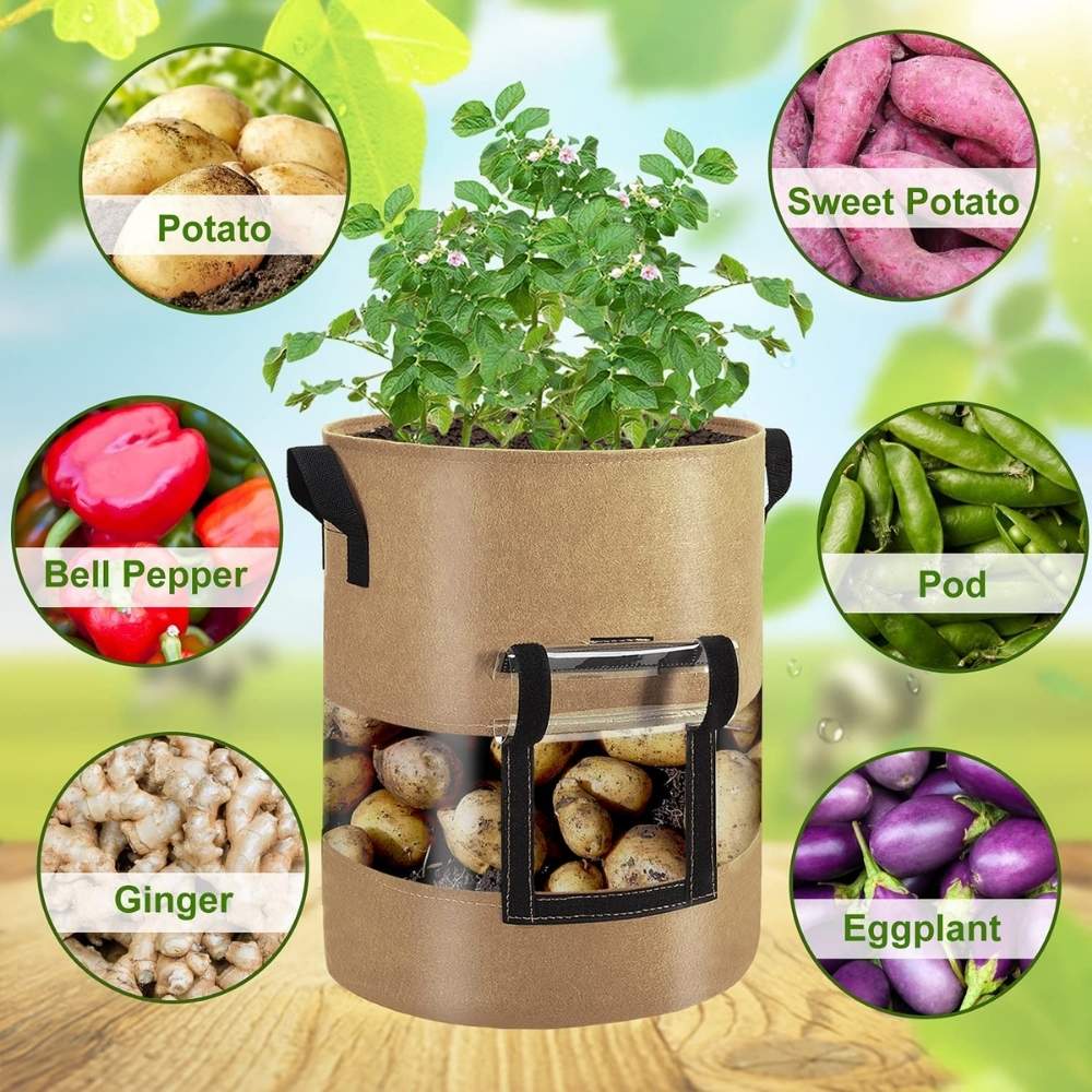 Potato Grow Bag: image 7