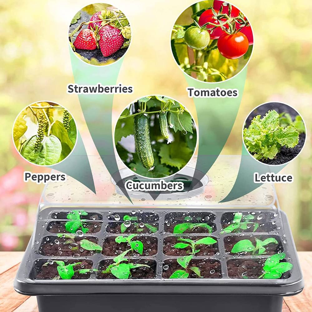 Seed Starter Tray: image 5
