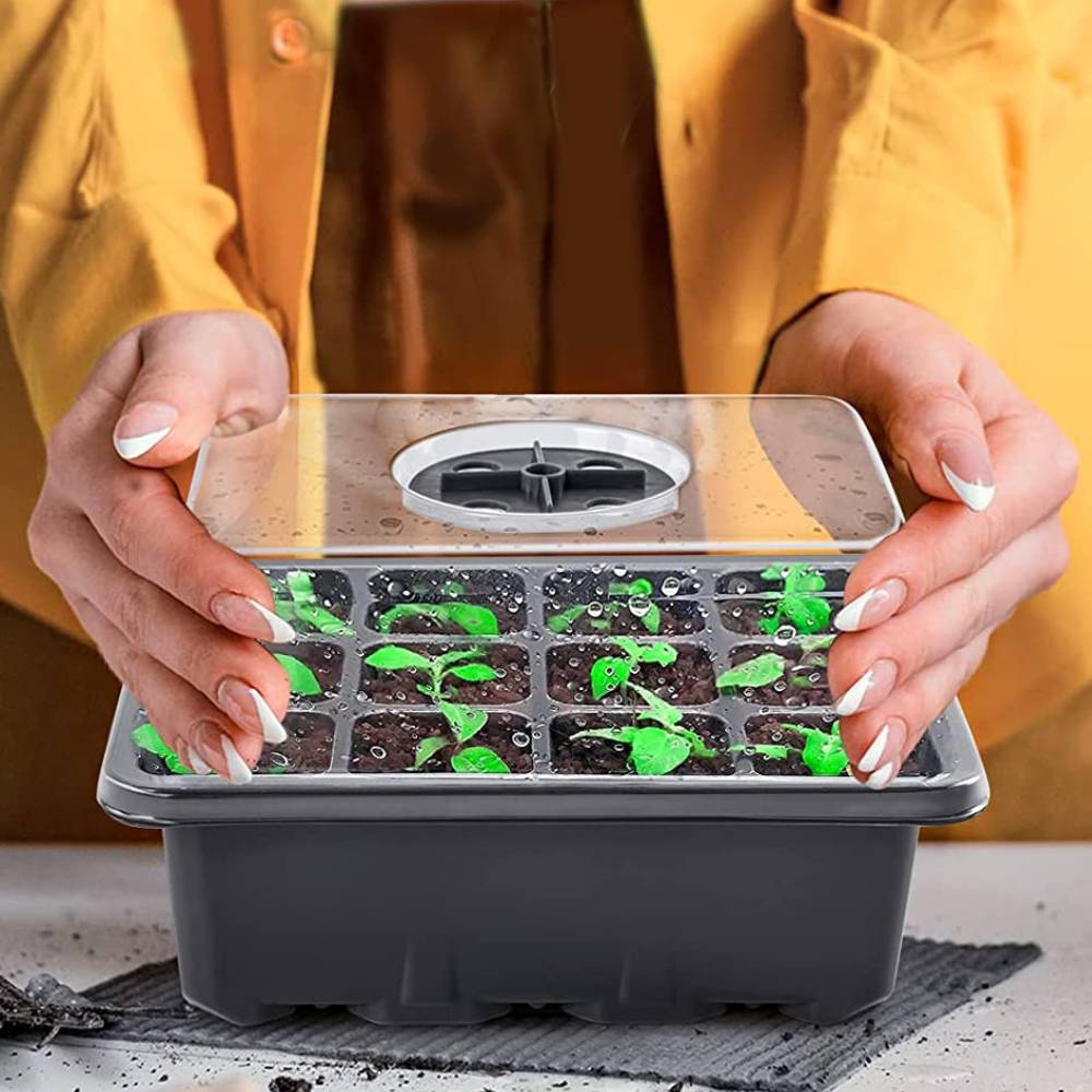 Seed Starter Tray