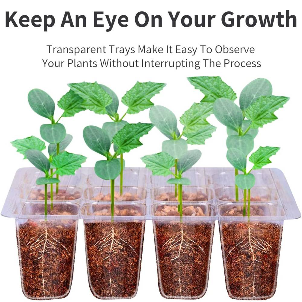 Seed Starter Tray: image 3