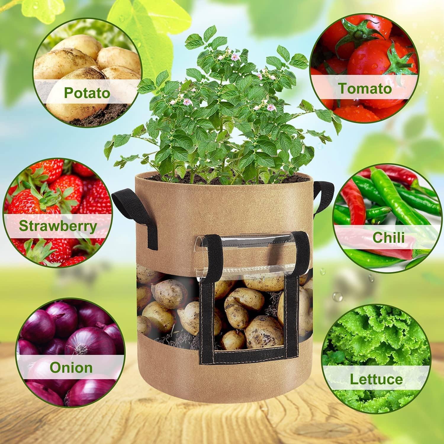 Garden Grow Bag: image 3