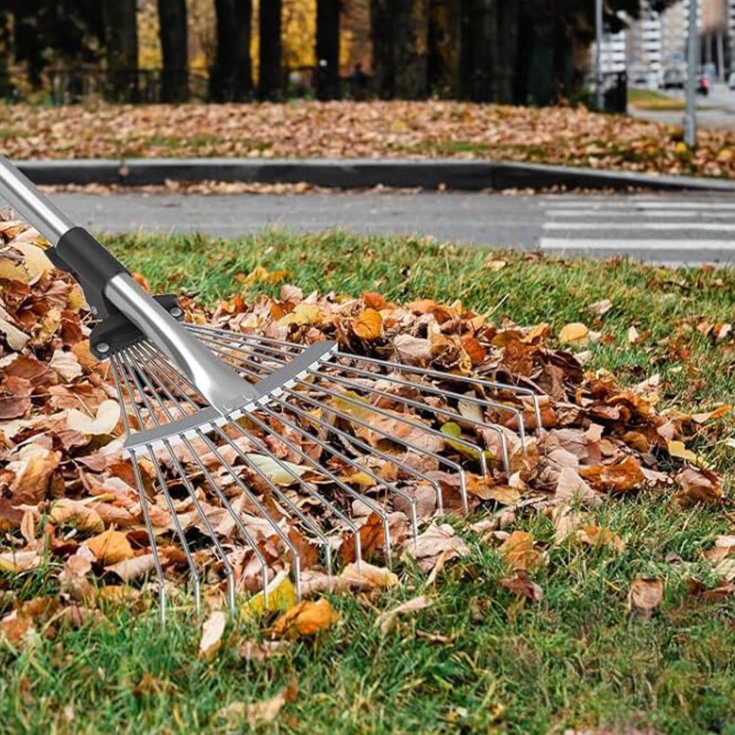 Leaf Rake