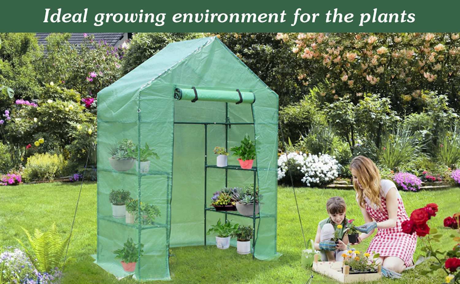 purchase mini greenhouse ireland
